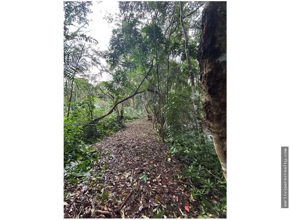 Se vende Finca en El Cacao, Capira, Panamá Oeste