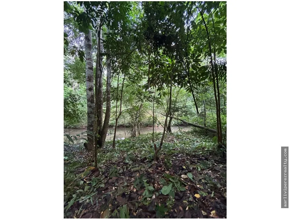 Se vende Finca en El Cacao, Capira, Panamá Oeste