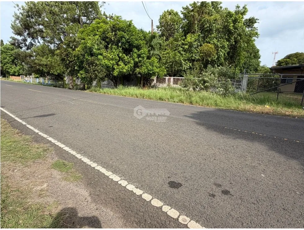 Commercial House for Rent in Chorrera, 1200 m² Near the Market
