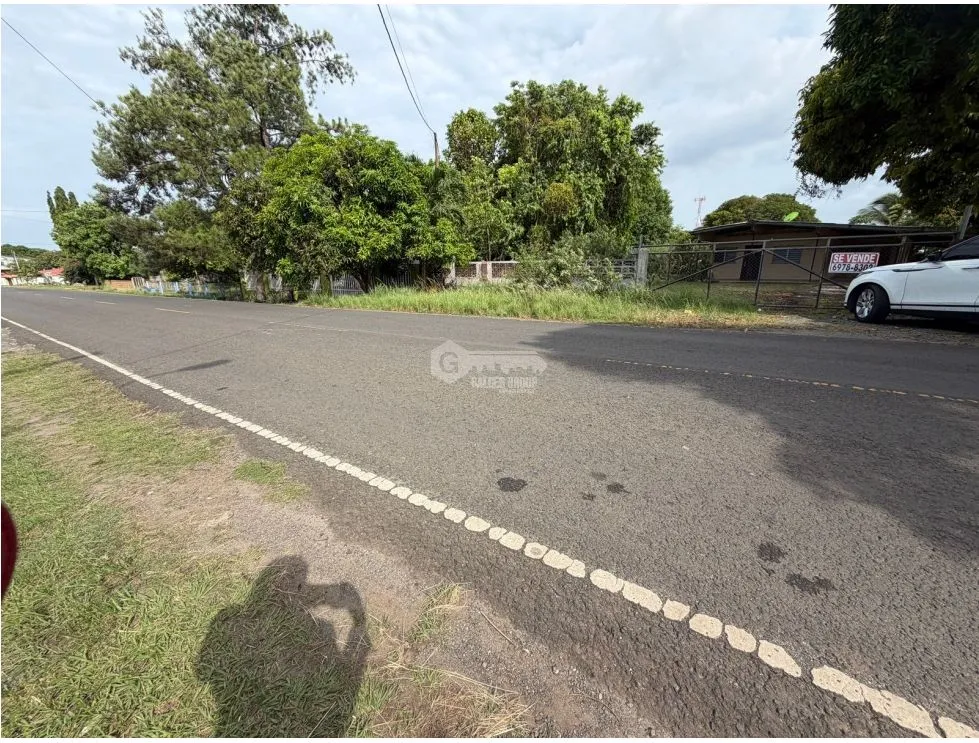 Commercial Property in Chorrera / 1200M Near Market / Level Land