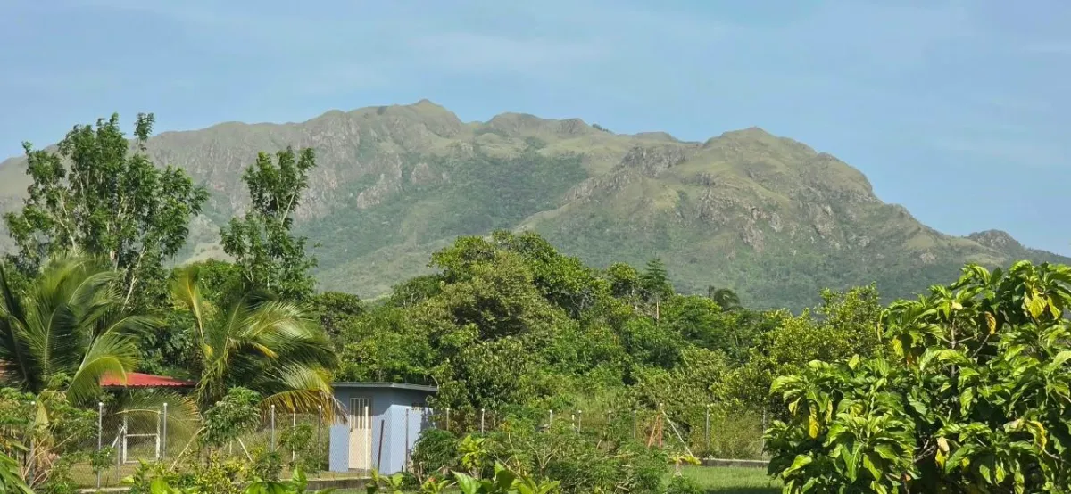 LAND FOR INVESTMENT IN PUNTA CHAME