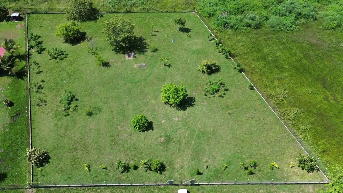 LAND FOR INVESTMENT IN PUNTA CHAME