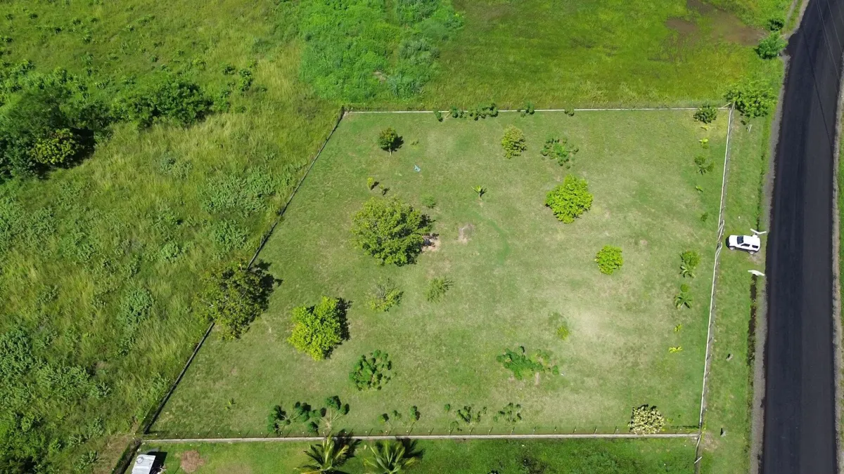 LAND FOR INVESTMENT IN PUNTA CHAME