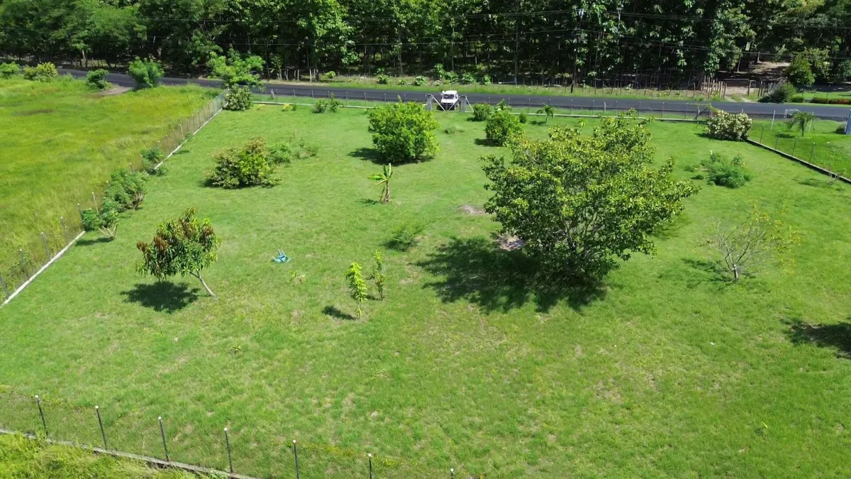 LAND FOR INVESTMENT IN PUNTA CHAME
