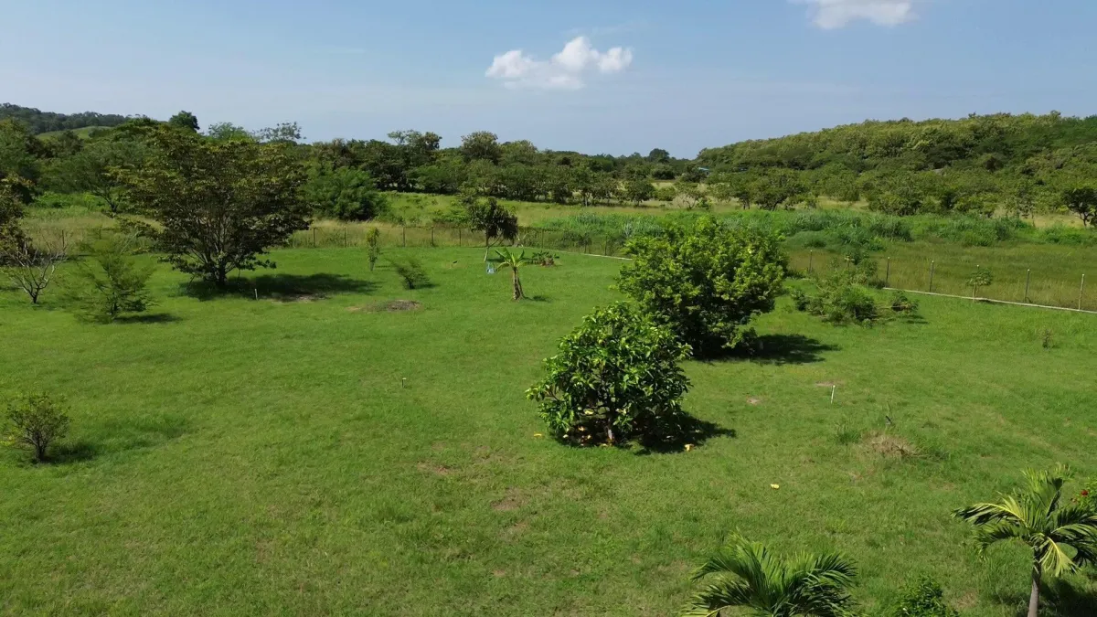 LAND FOR INVESTMENT IN PUNTA CHAME
