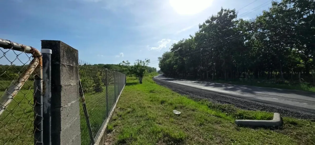 LAND FOR INVESTMENT IN PUNTA CHAME