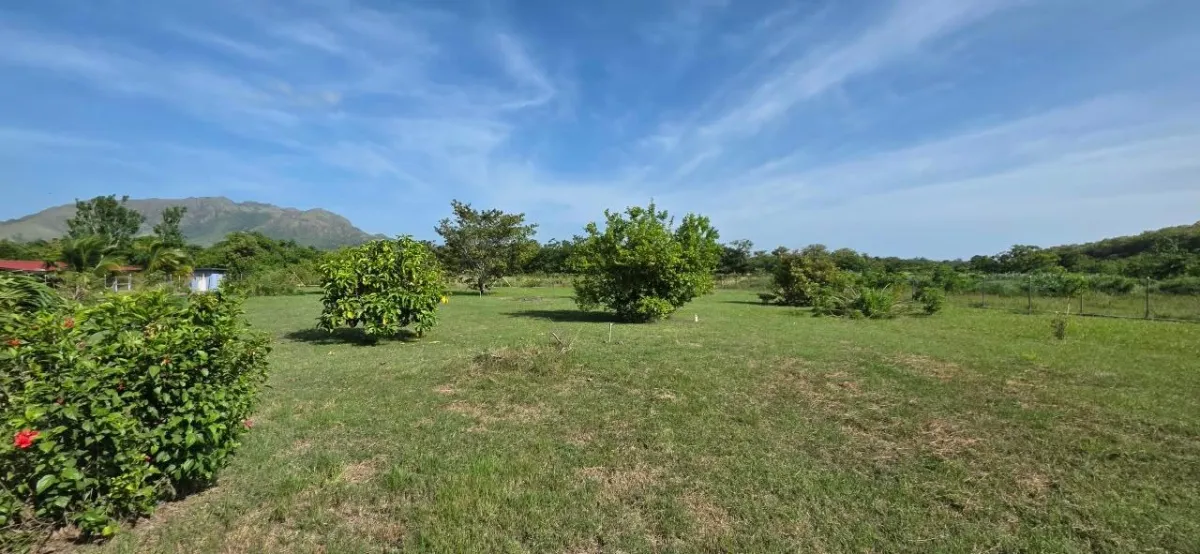 LAND FOR INVESTMENT IN PUNTA CHAME