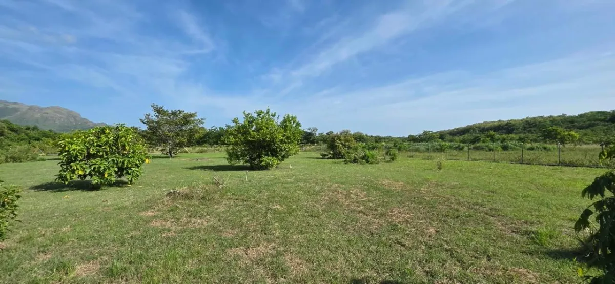 LAND FOR INVESTMENT IN PUNTA CHAME