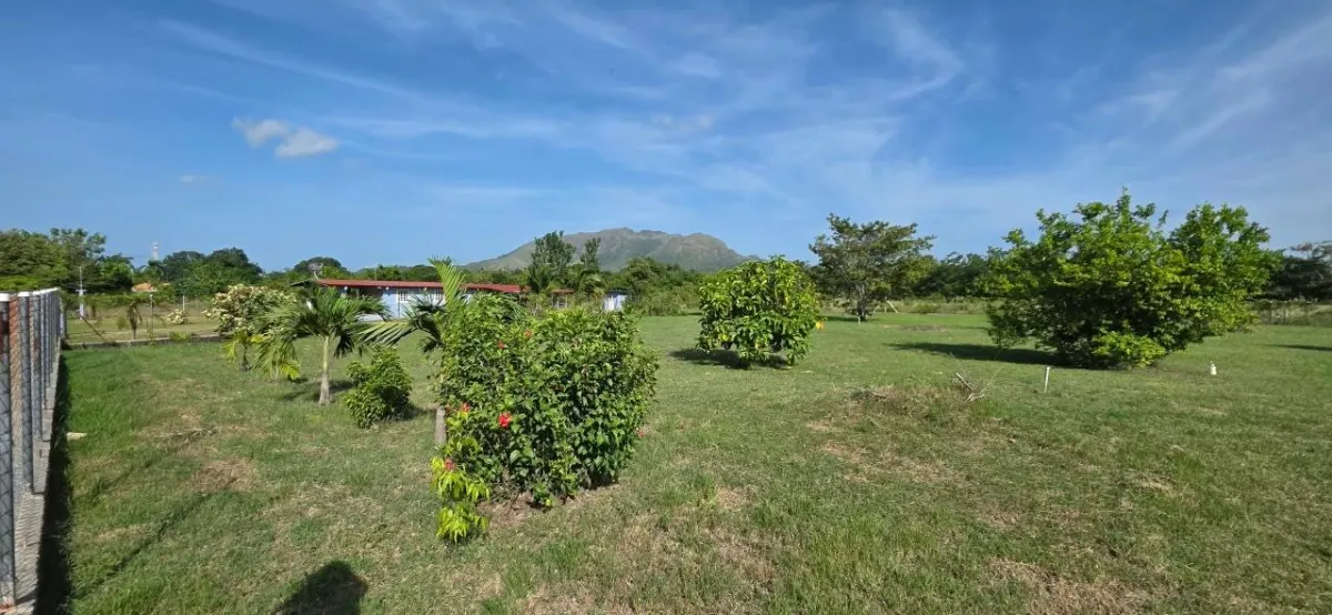 LAND FOR INVESTMENT IN PUNTA CHAME