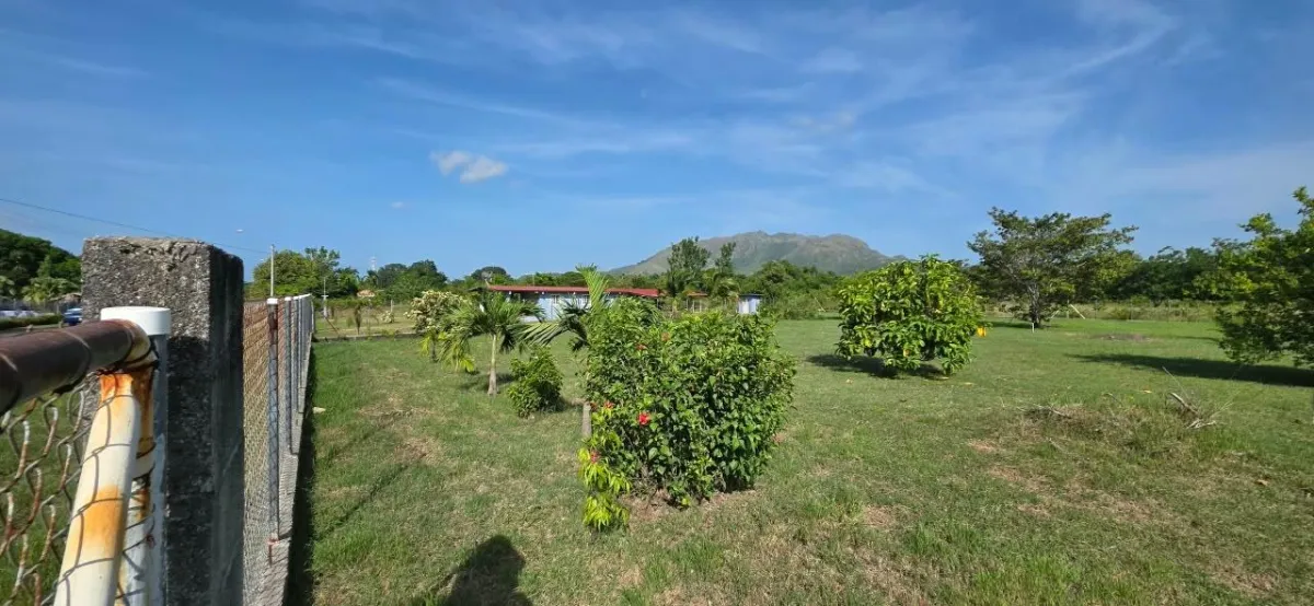 LAND FOR INVESTMENT IN PUNTA CHAME