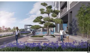 Apartamento en Venta Vía Argentina