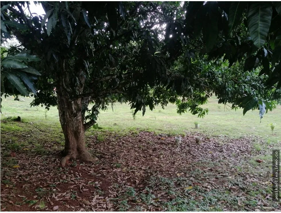 LAND SALE WITH HOUSE IN CHILIBRE, OPPORTUNITY