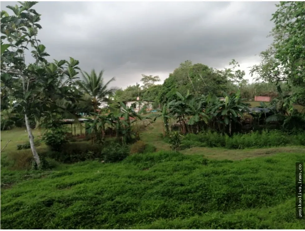 LAND SALE WITH HOUSE IN CHILIBRE, OPPORTUNITY
