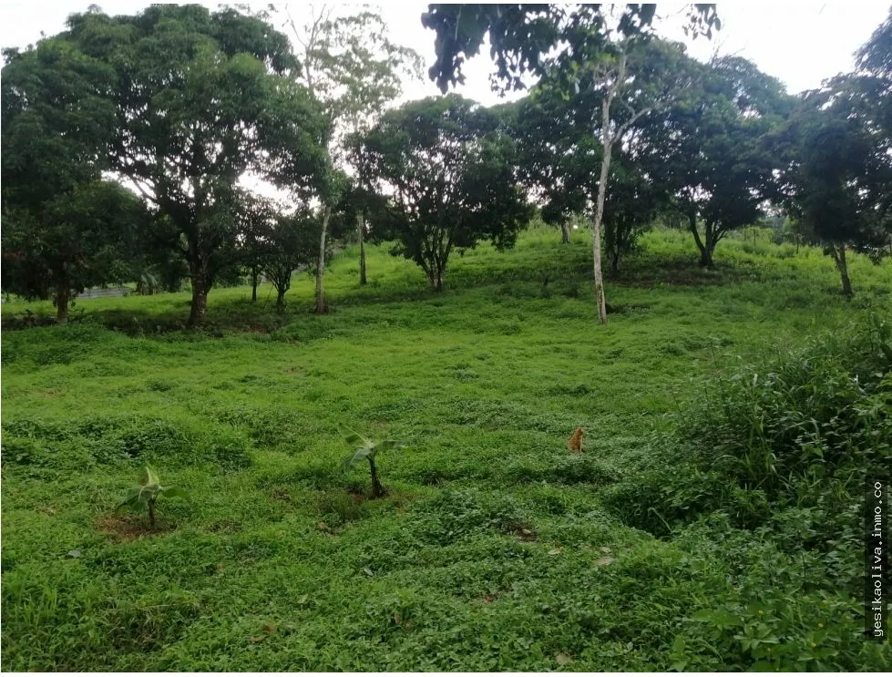 LAND SALE WITH HOUSE IN CHILIBRE, OPPORTUNITY