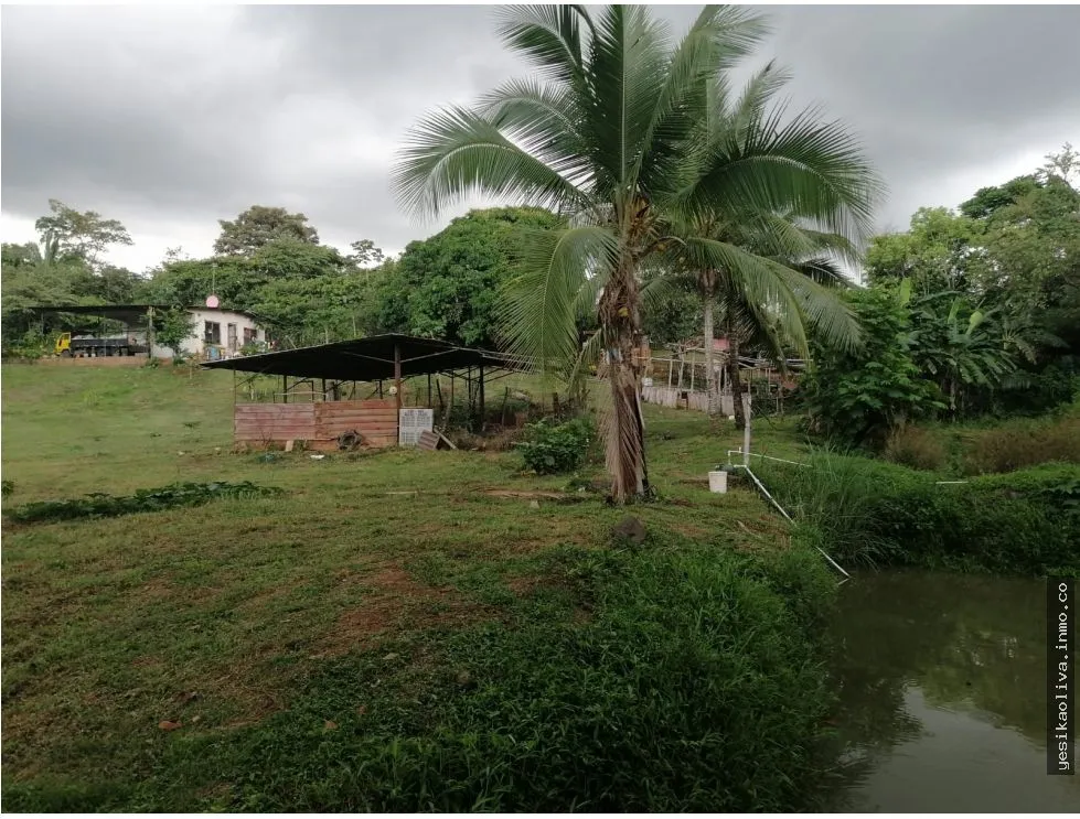 LAND SALE WITH HOUSE IN CHILIBRE, OPPORTUNITY