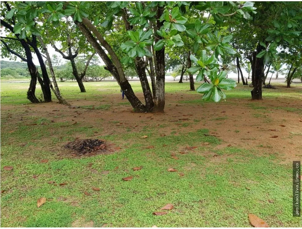 Land Sale in Colón, Nombre de Dios