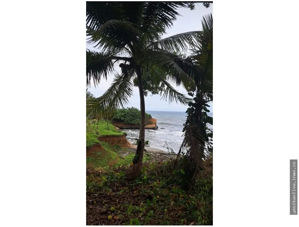 VENTA DE TERRENO DE PLAYA EN COLON PALMAS BELLAS
