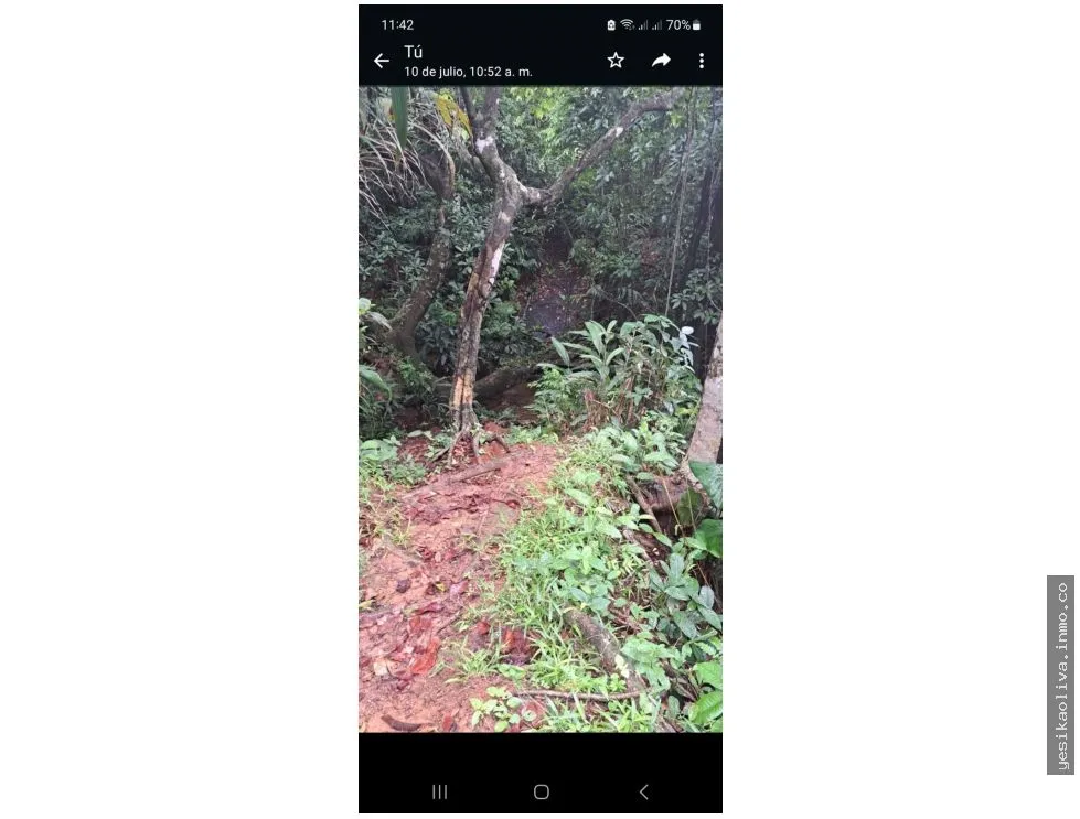 VENTA DE TERRENO DE PLAYA EN COLON PALMAS BELLAS