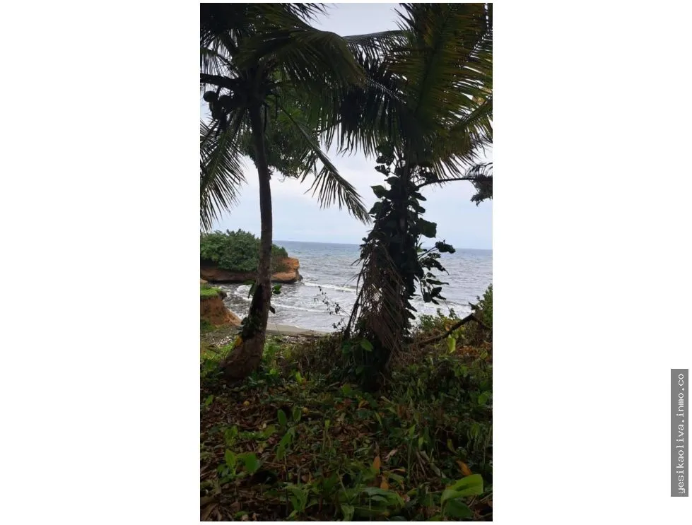 VENTA DE TERRENO DE PLAYA EN COLON PALMAS BELLAS