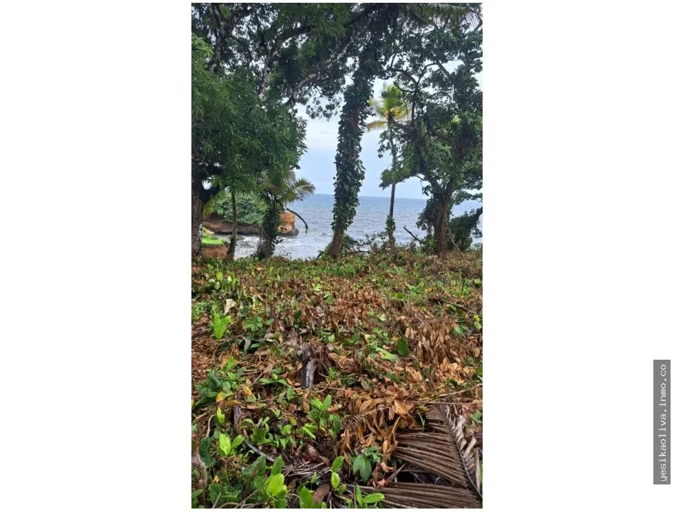 VENTA DE TERRENO DE PLAYA EN COLON PALMAS BELLAS