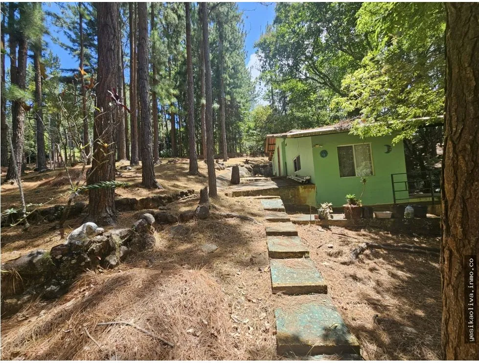 Building Lot for sale in San Carlos
