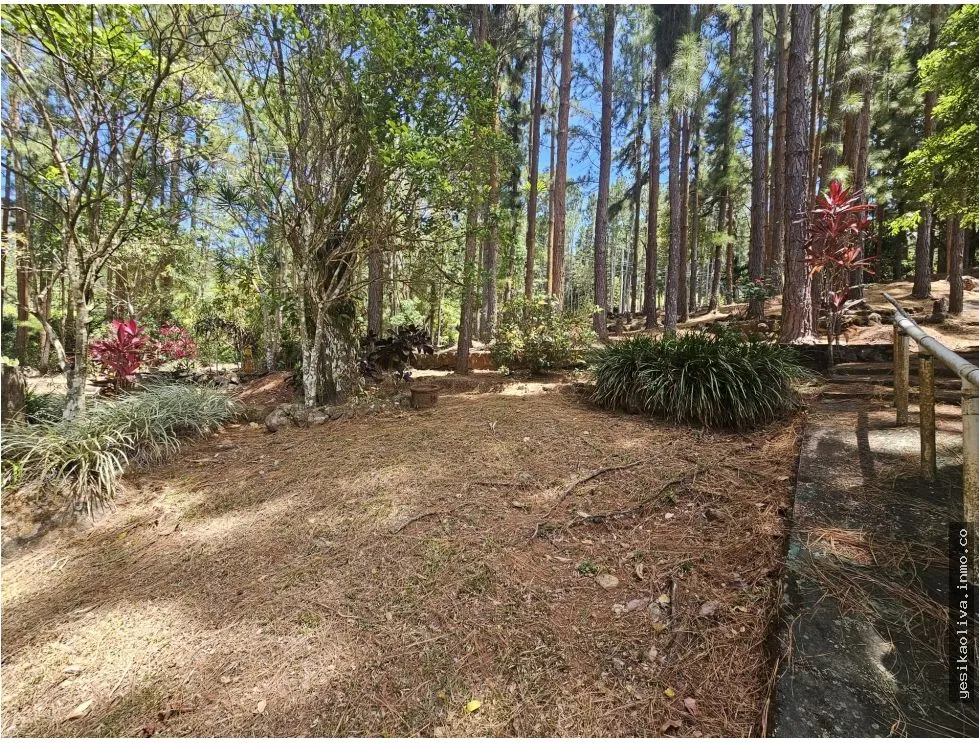 VENTA DE TERRENO EN ALTOS DE MARIA