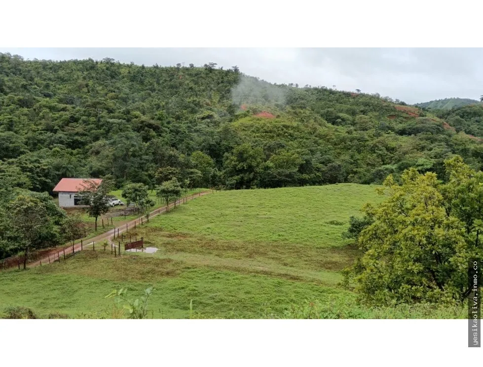 Building Lot for sale in Mariato