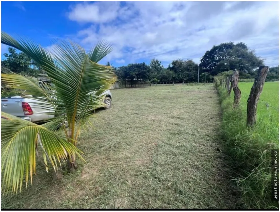 Venta de Terreno Pedasí