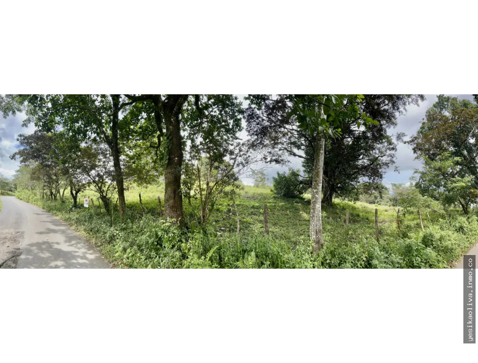 Land Sale in Santa Fe, Veraguas