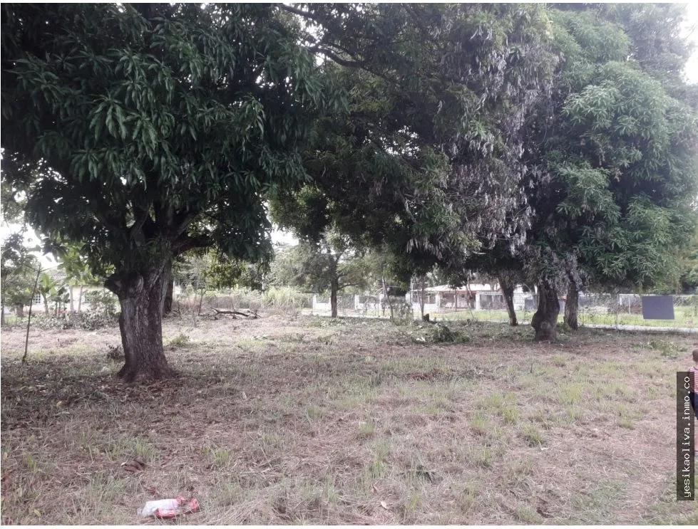 Venta de Terreno en Gorgona