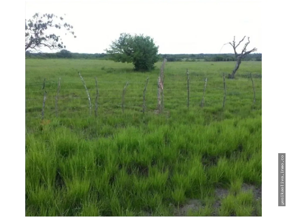 Venta de Terreno en Penonomé, Coclé