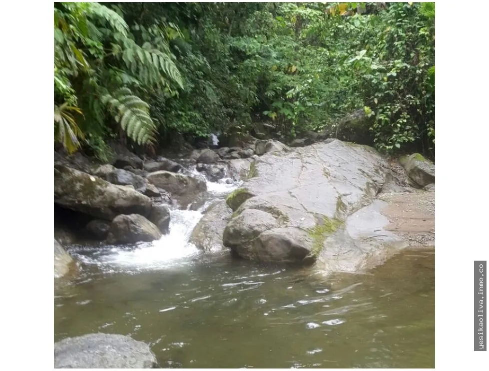 Sale of Farm in Changuinola, Bocas Del Toro