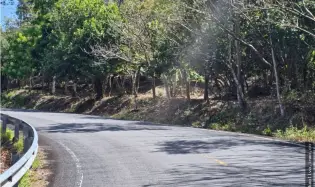 土地 农场 在 Penonome 出售