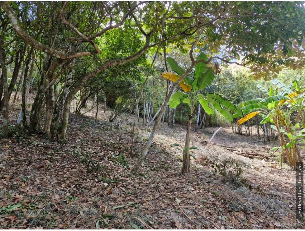 Venta de Terreno en Penonomé