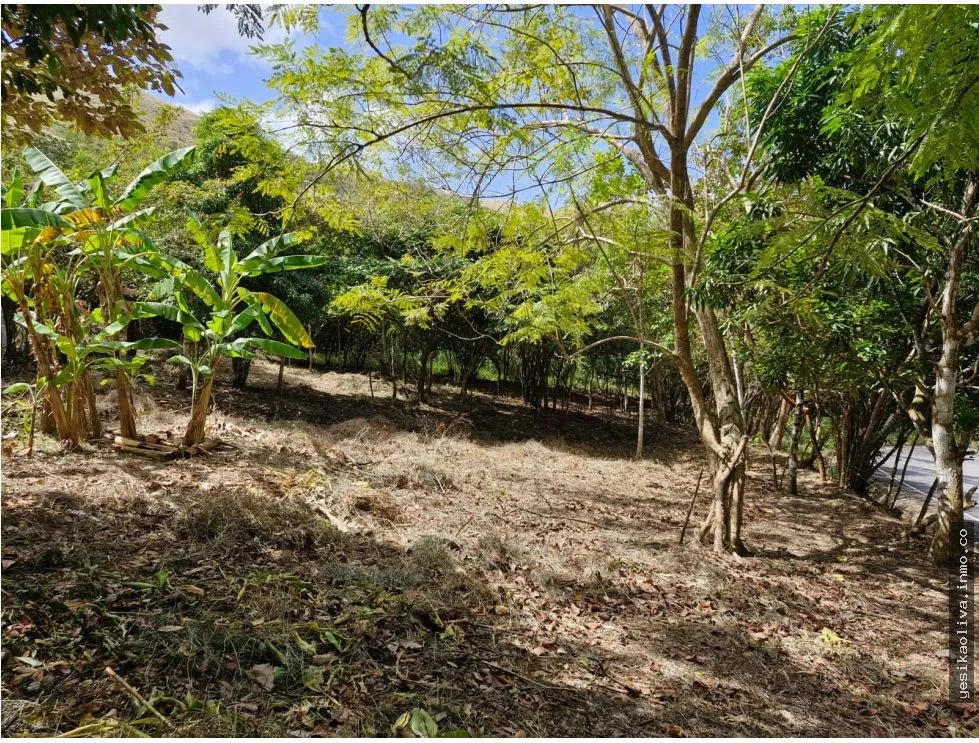 Venta de Terreno en Penonomé
