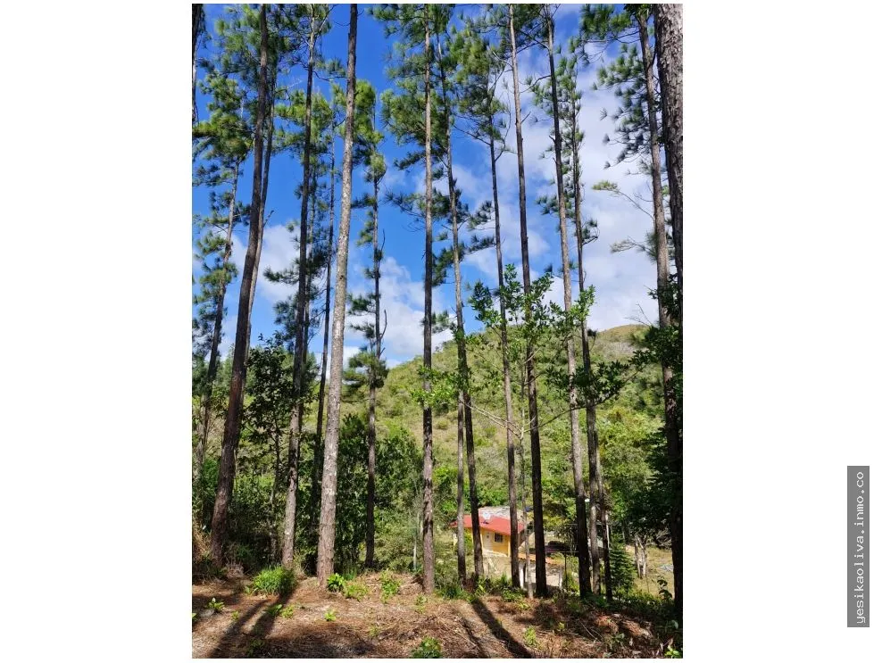 Venta de Terreno en Penonomé