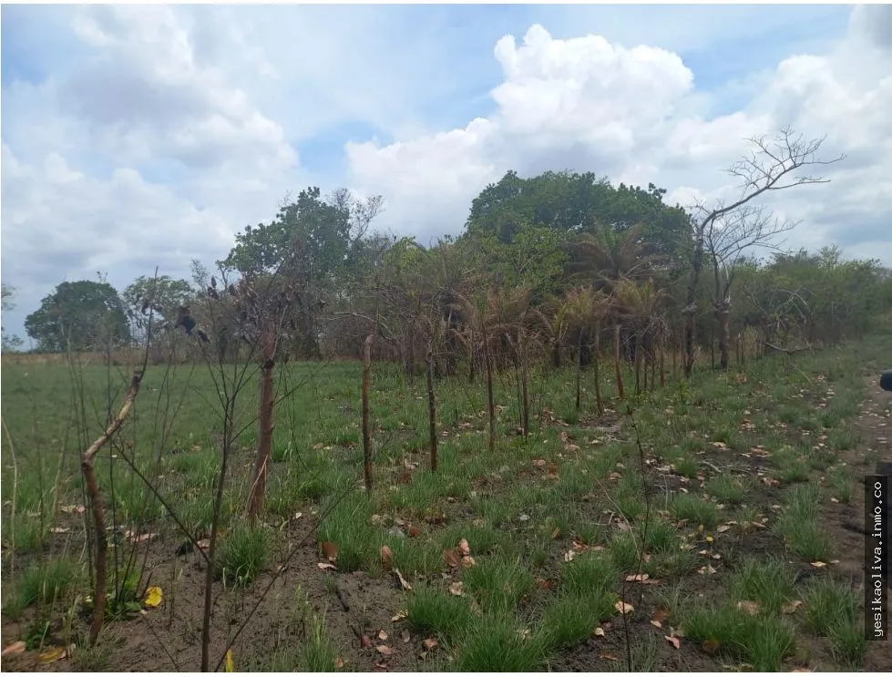 Venta de Terreno en Antón