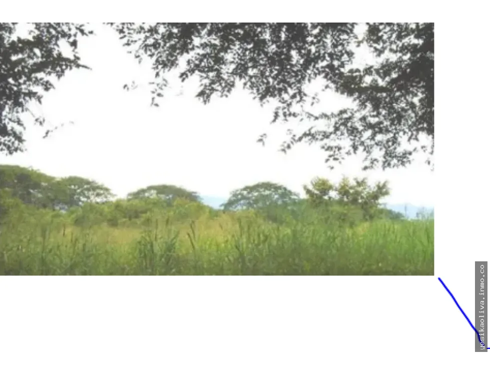 Land Sale in Tonosí