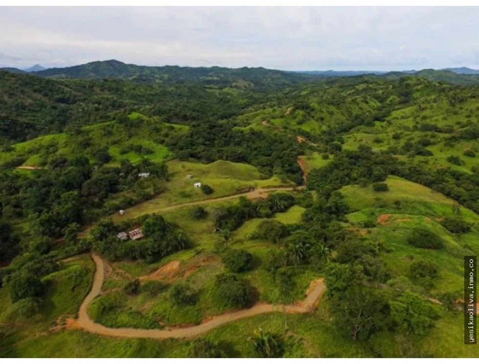 Sale of Farm in Cative, Veraguas