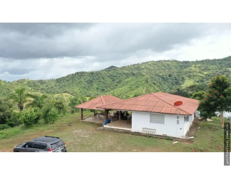 Sale of Farm in Cative, Veraguas