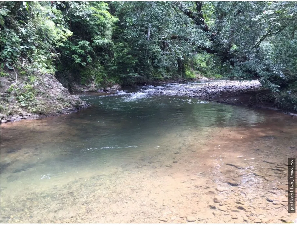 Sale of Farm in Cative, Veraguas