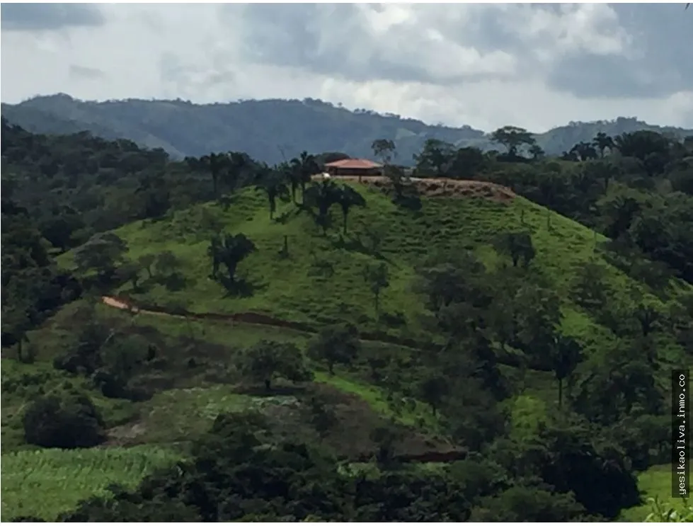 Sale of Farm in Cative, Veraguas