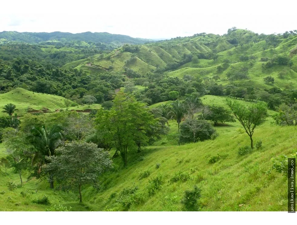 Sale of Farm in Cative, Veraguas