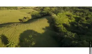Venta de Terreno en Pedasí