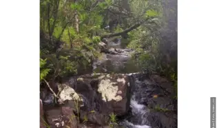 Venta de Terreno en Calobre