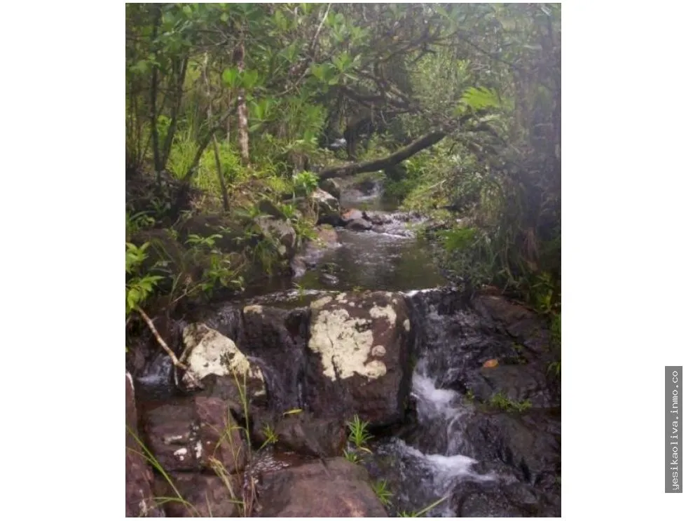 Land Sale in Calobre