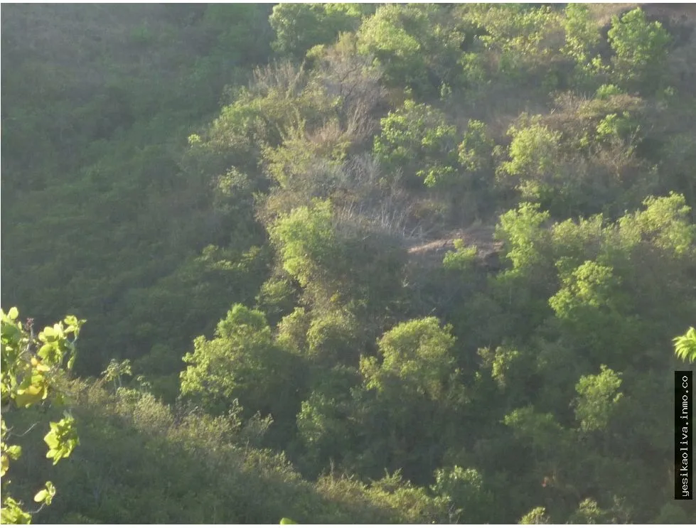 Land Sale in Calobre