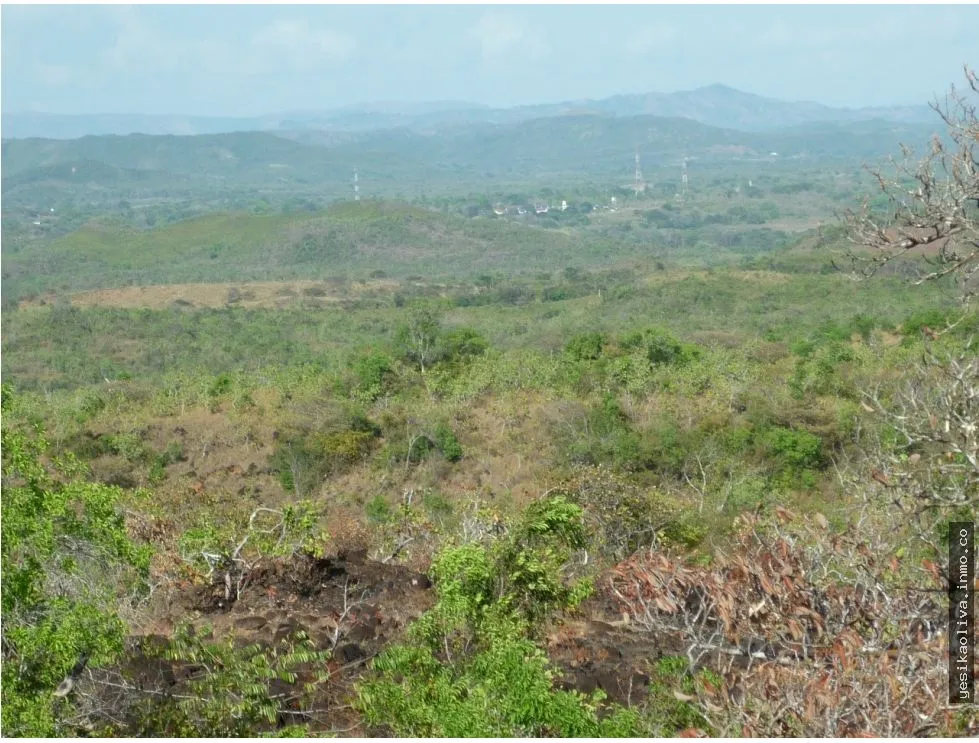 Land Sale in Calobre