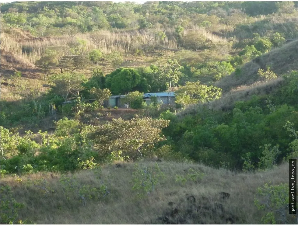 Land Sale in Calobre