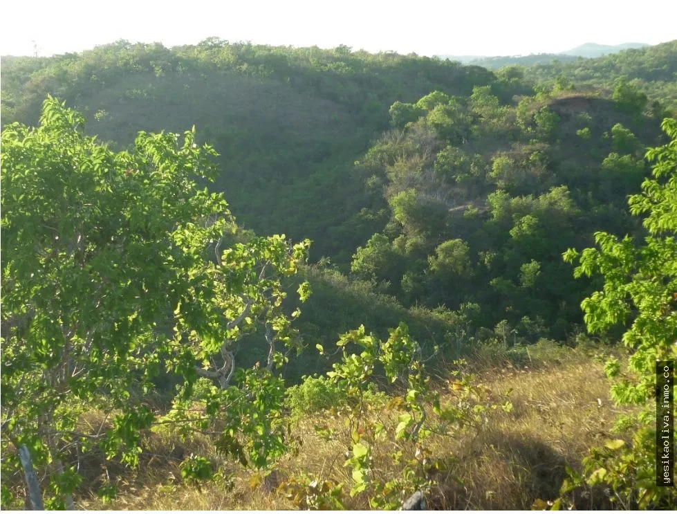 Land Sale in Calobre